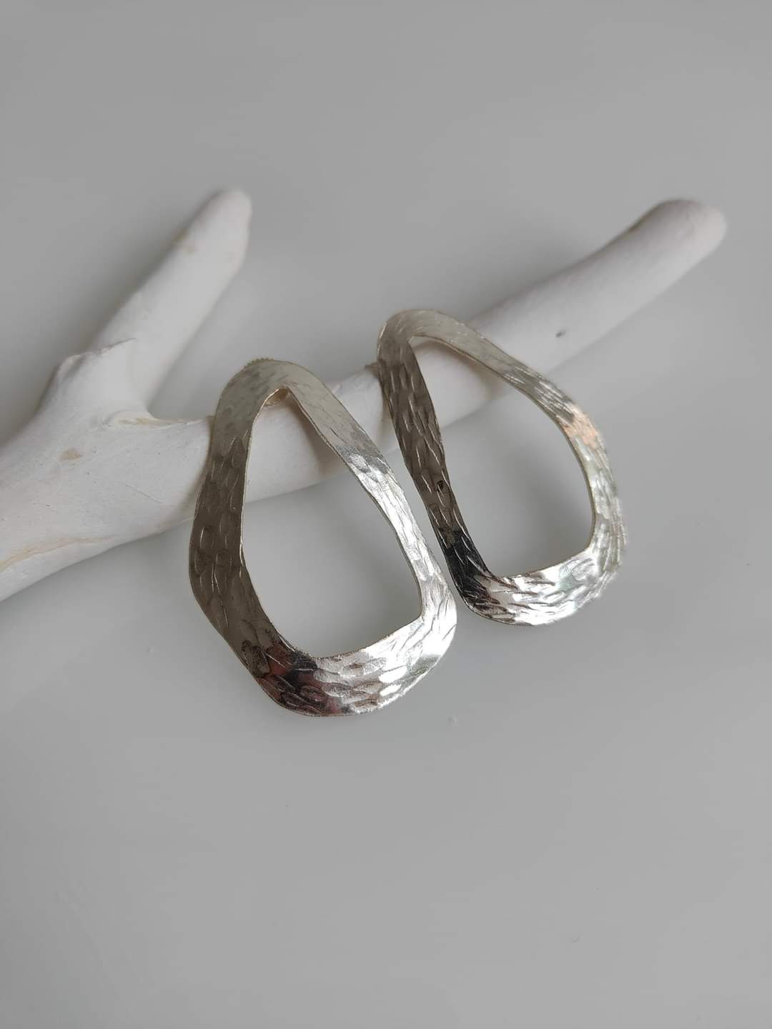 Zan Earrings Silver