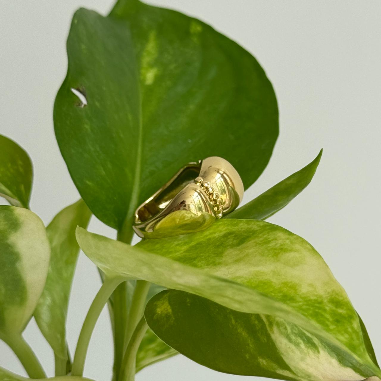 Melon Adjustable Ring Gold