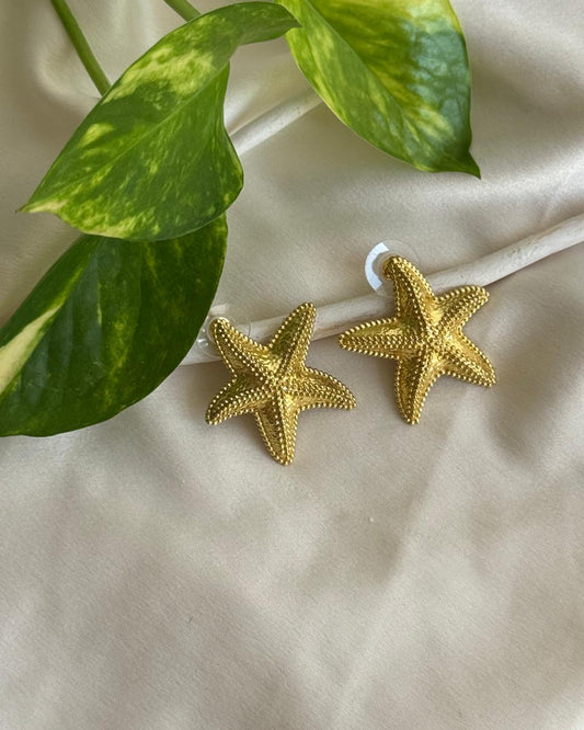 Starfish Studs Big